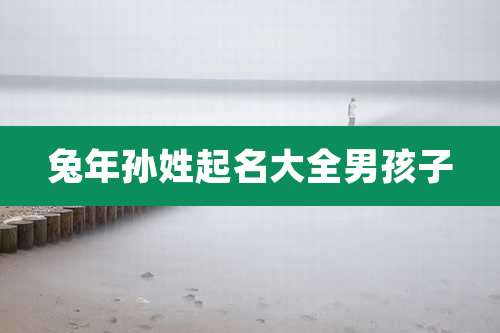 兔年孙姓起名大全男孩子