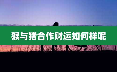 猴与猪合作财运如何样呢