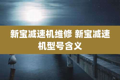 新宝减速机维修 新宝减速机型号含义