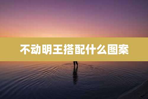 不动明王搭配什么图案