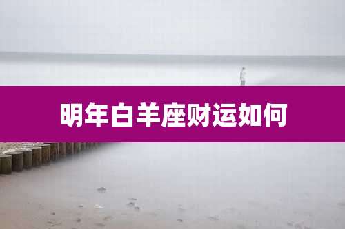 明年白羊座财运如何