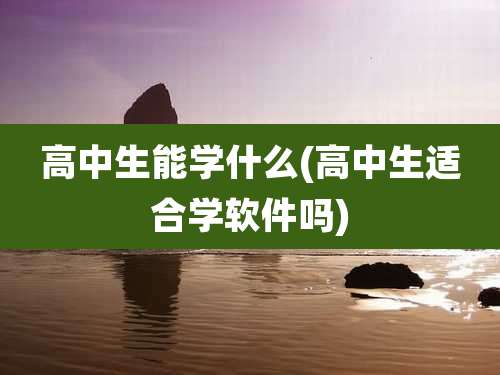 高中生能学什么(高中生适合学软件吗)