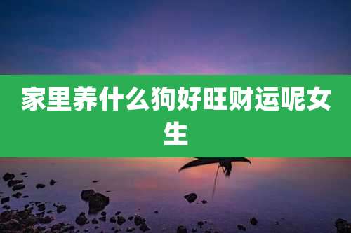 家里养什么狗好旺财运呢女生