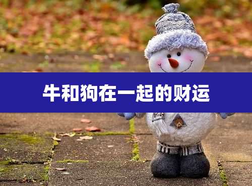 牛和狗在一起的财运