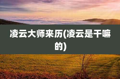 凌云大师来历(凌云是干嘛的)