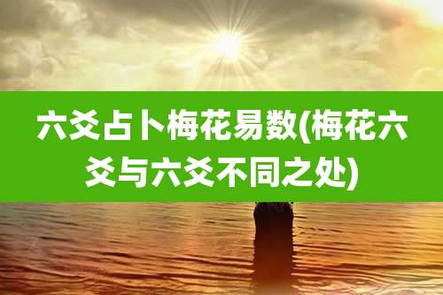 六爻占卜梅花易数(梅花六爻与六爻不同之处)