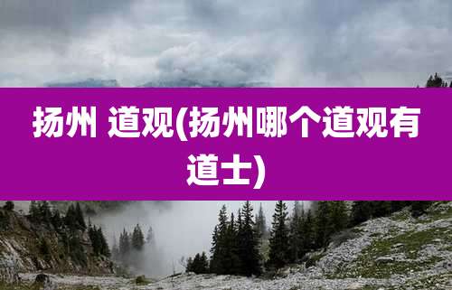 扬州 道观(扬州哪个道观有道士)