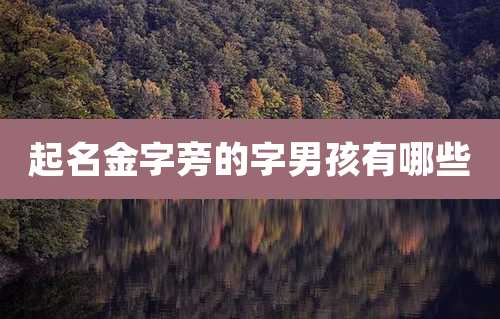 起名金字旁的字男孩有哪些