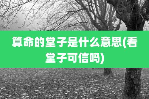 算命的堂子是什么意思(看堂子可信吗)