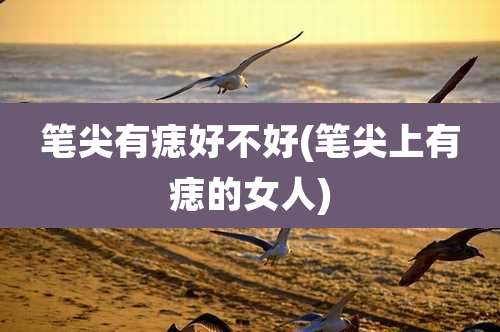 笔尖有痣好不好(笔尖上有痣的女人)