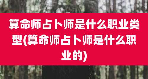 算命师占卜师是什么职业类型(算命师占卜师是什么职业的)