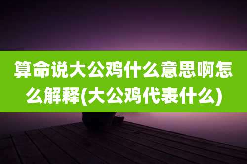 算命说大公鸡什么意思啊怎么解释(大公鸡代表什么)