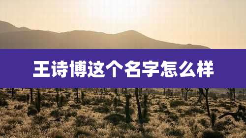 王诗博这个名字怎么样