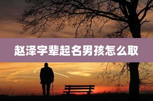 赵泽字辈起名男孩怎么取