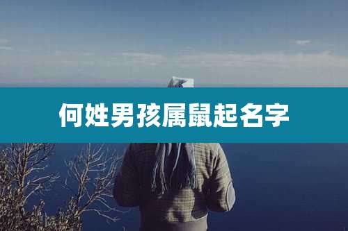 何姓男孩属鼠起名字