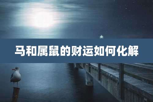 马和属鼠的财运如何化解