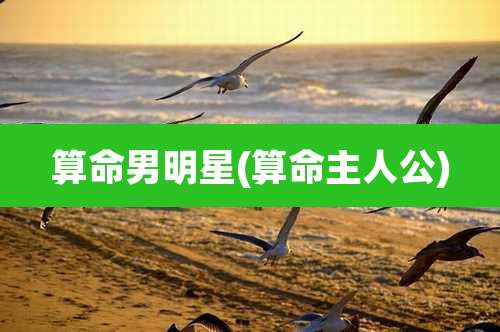 算命男明星(算命主人公)