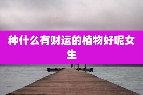 种什么有财运的植物好呢女生
