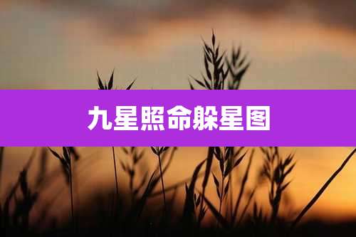 九星照命躲星图