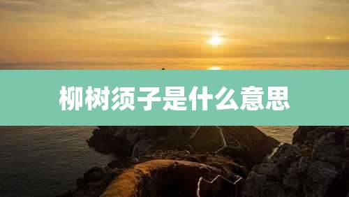 柳树须子是什么意思