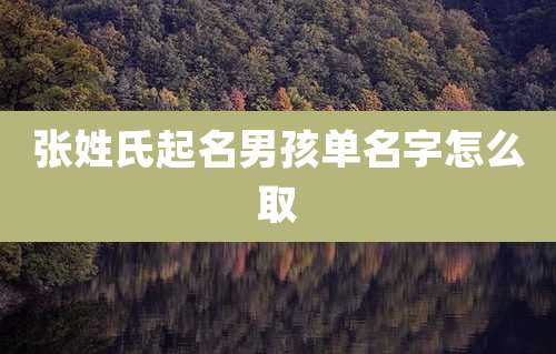 张姓氏起名男孩单名字怎么取