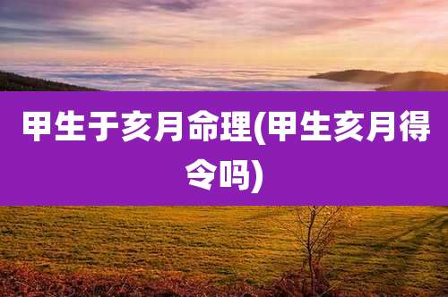 甲生于亥月命理(甲生亥月得令吗)