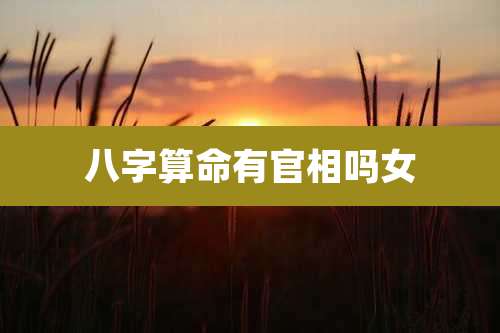 八字算命有官相吗女