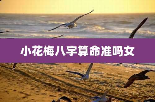 小花梅八字算命准吗女