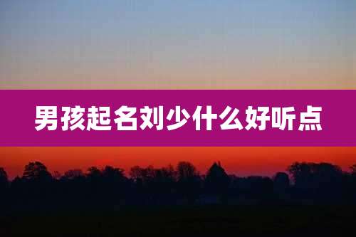 男孩起名刘少什么好听点