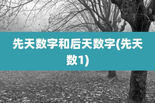 先天数字和后天数字(先天数1)