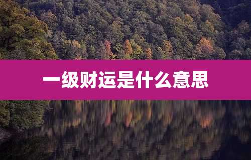 一级财运是什么意思