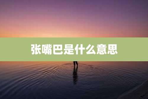 张嘴巴是什么意思