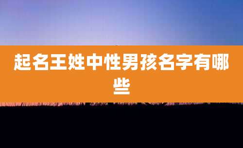 起名王姓中性男孩名字有哪些