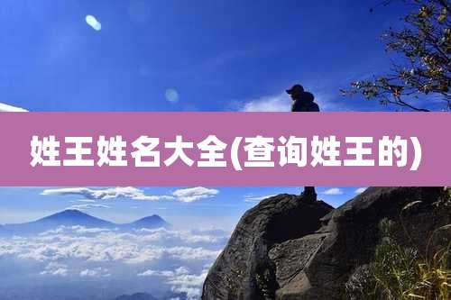 姓王姓名大全(查询姓王的)