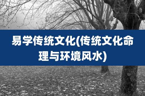 易学传统文化(传统文化命理与环境风水)