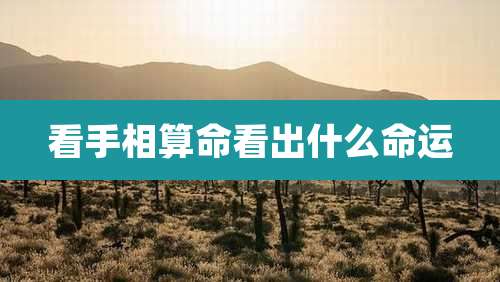 看手相算命看出什么命运