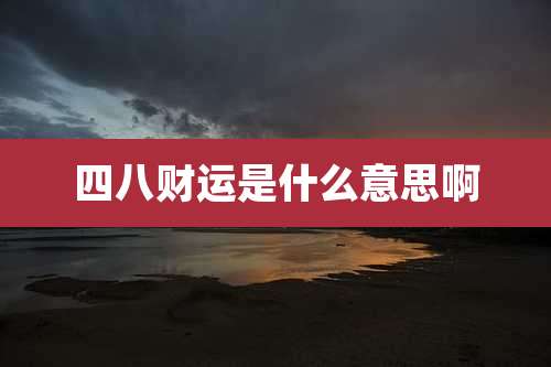 四八财运是什么意思啊