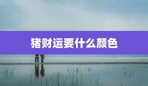 猪财运要什么颜色