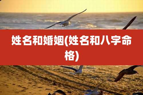 姓名和婚姻(姓名和八字命格)