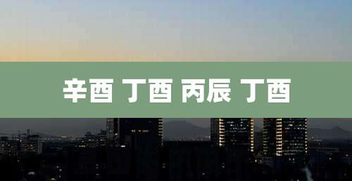 辛酉 丁酉 丙辰 丁酉