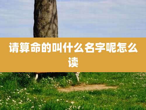 请算命的叫什么名字呢怎么读