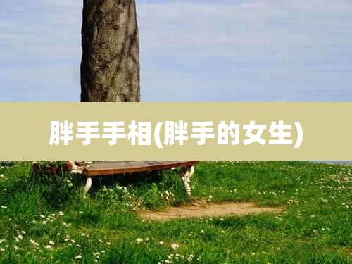 胖手手相(胖手的女生)