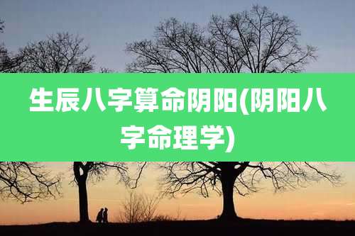 生辰八字算命阴阳(阴阳八字命理学)