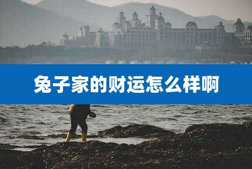 兔子家的财运怎么样啊