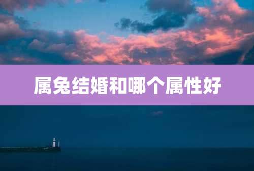 属兔结婚和哪个属性好