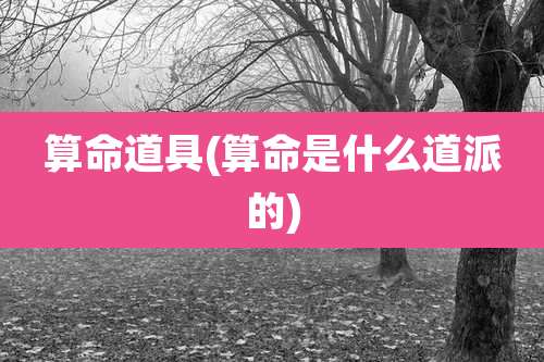 算命道具(算命是什么道派的)