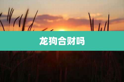 龙狗合财吗