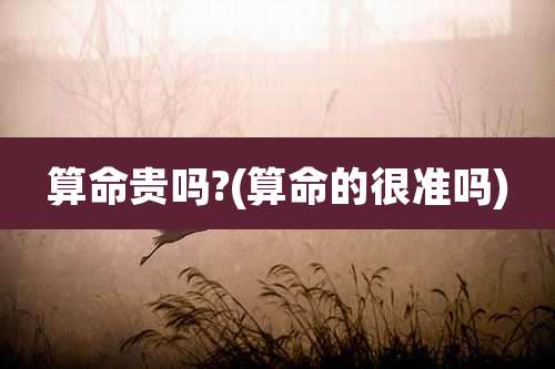 算命贵吗?(算命的很准吗)