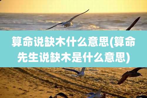 算命说缺木什么意思(算命先生说缺木是什么意思)