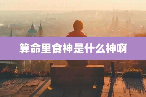 算命里食神是什么神啊
